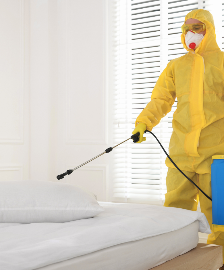 Professional Pest Control Team in Daw Park